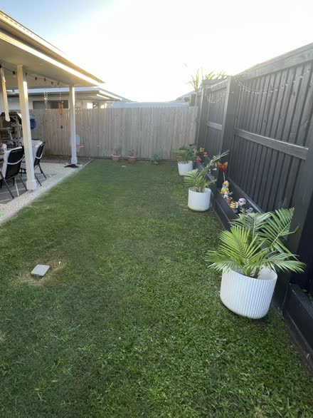 Narrow strip of lawn beside a house before the deck was built